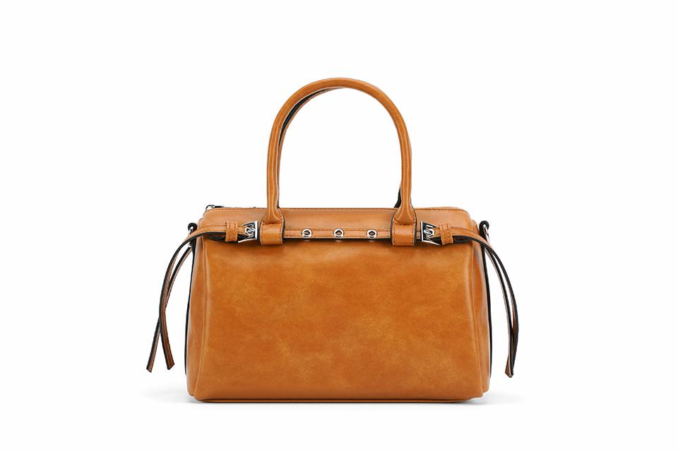 Buckle Handle Bag